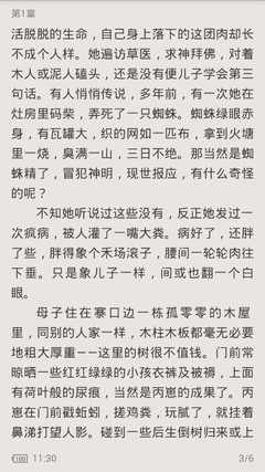 爱游戏意甲联赛